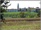 foto Paesaggi alle Pendici del Monte Grappa